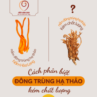 5 Cách loại bỏ Đông trùng hạ thảo Kém chất lượng