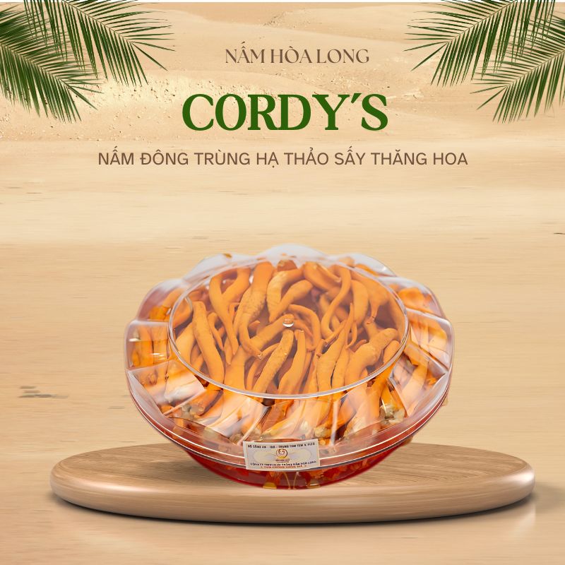 CORDY'S hỗ trợ 4 Sức mạnh cho hệ miễn dịch!