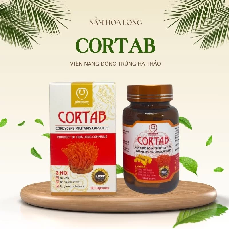 CorTab - Viên nang Đông trùng hạ thảo - Hình ảnh 3