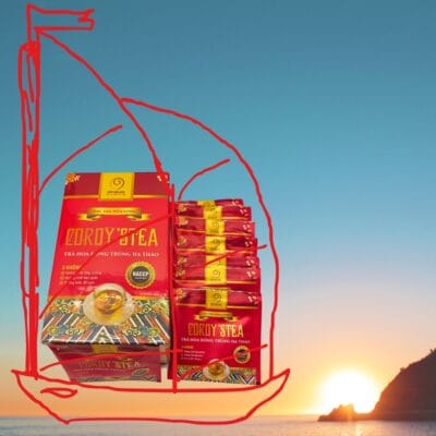 TRÀ CORDY'STEA - THIÊN THẦN SỨC KHỎE NHỮNG NGÀY LẠNH